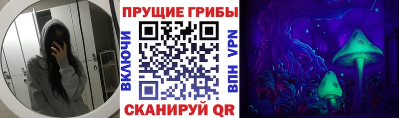 наркошоп  Александровск-Сахалинский  blacksprut зеркало  Галлюциногенные грибы Cubensis 